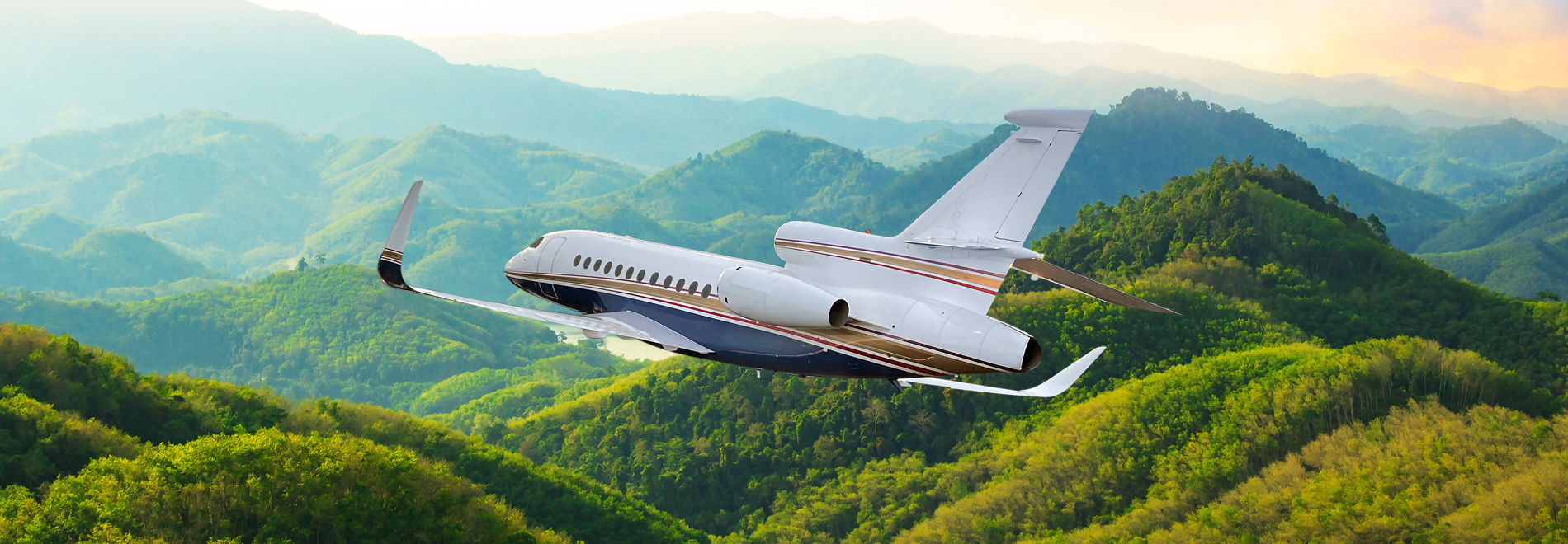 plane flying against forest background